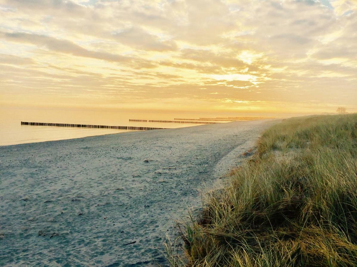 Chalet Zingst Kültér fotó