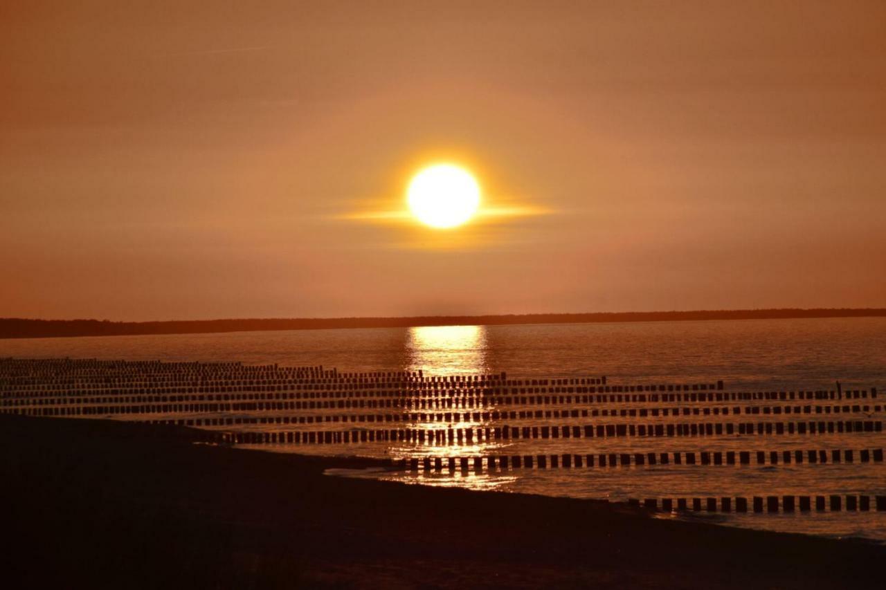 Chalet Zingst Kültér fotó